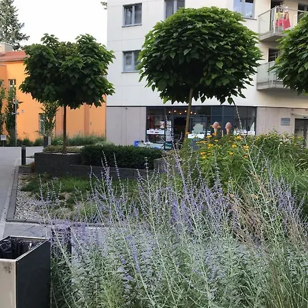 Apartament City Centre 108 Allenstein Exterior foto